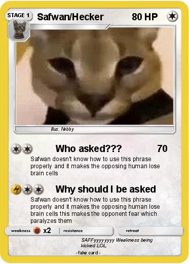 Pokemon Safwan/Hecker