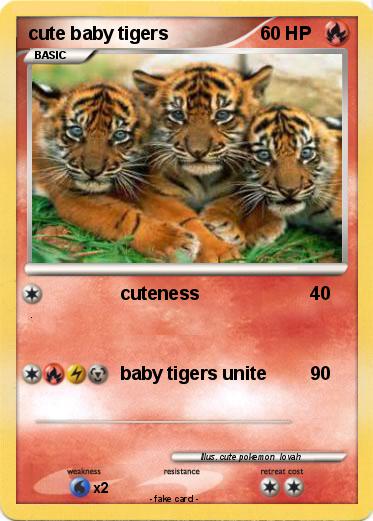 Pokemon cute baby tigers