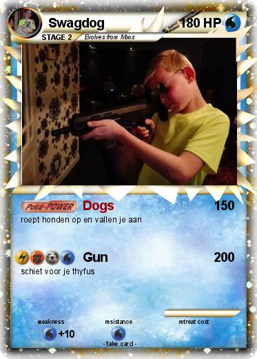 Pokemon Swagdog