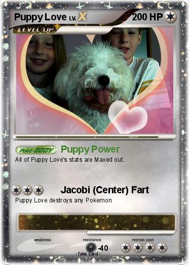Pokemon Puppy Love