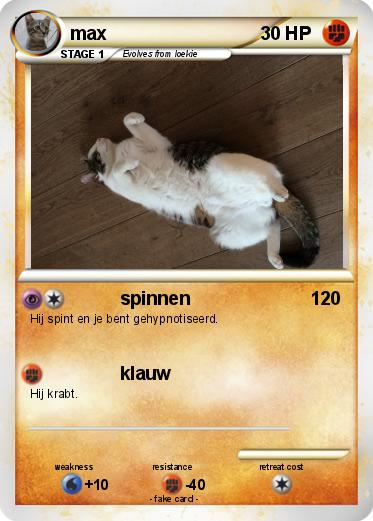 Pokemon max
