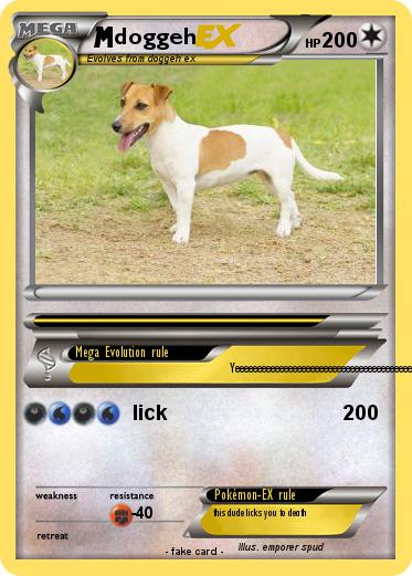 Pokemon doggeh