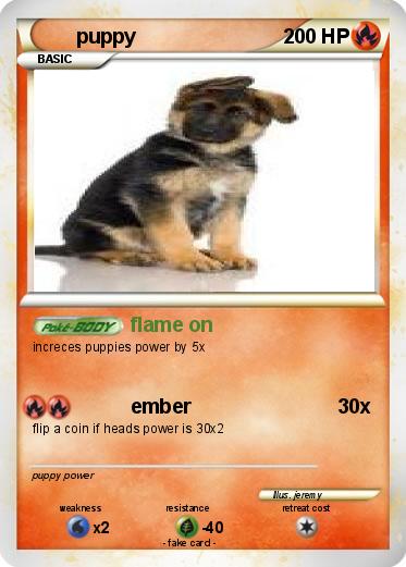 Pokemon puppy