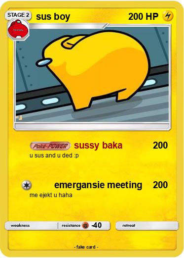 Pokemon sus boy