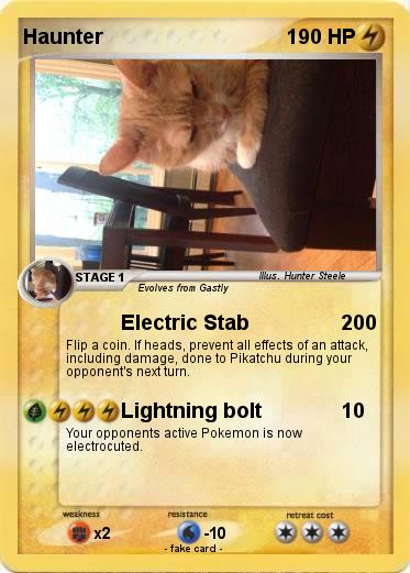Pokemon Haunter
