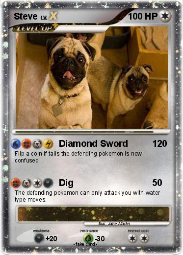 Pokemon Steve