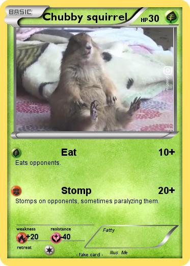 Pokemon Chubby squirrel