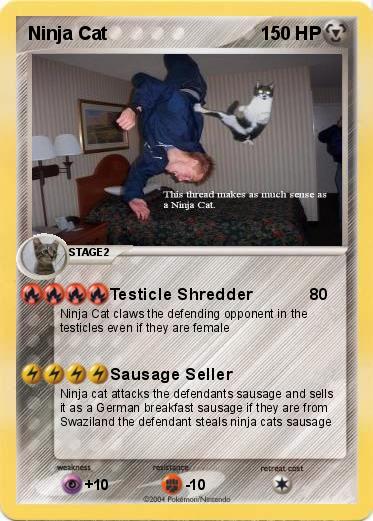 Pokemon Ninja Cat