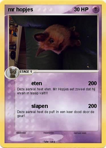 Pokemon mr hopjes