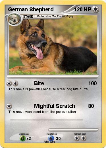 Pokemon German Shepherd