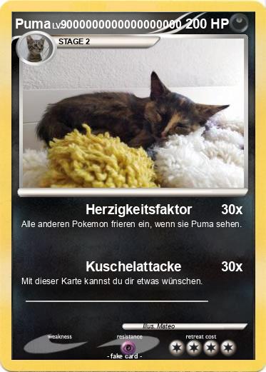 Pokemon Puma