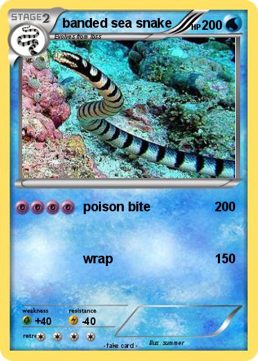 Pokemon banded sea snake