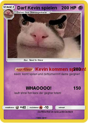 Pokemon Darf Kevin spielen