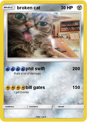 Pokemon broken cat