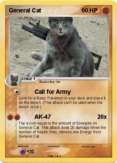 Pokemon General Cat