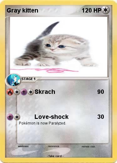 Pokemon Gray kitten