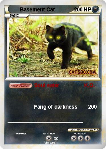 Pokemon Basement Cat