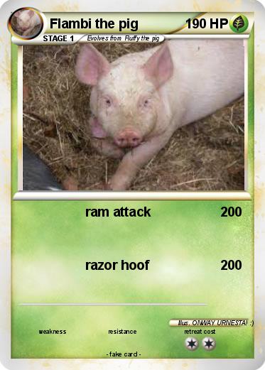 Pokemon Flambi the pig