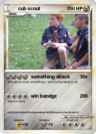 Pokemon cub scout