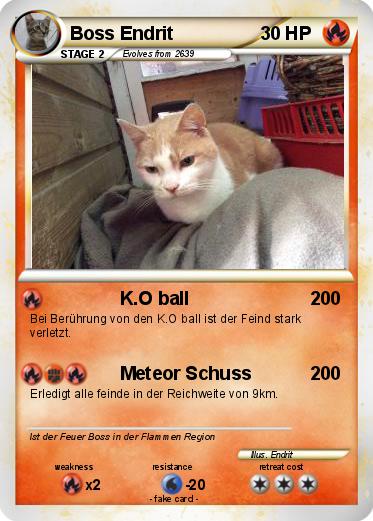 Pokemon Boss Endrit