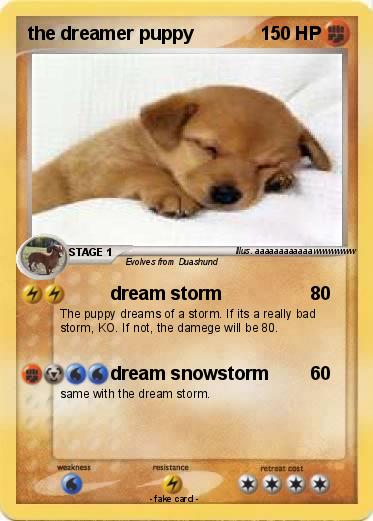 Pokemon the dreamer puppy