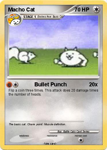 Pokemon Macho Cat