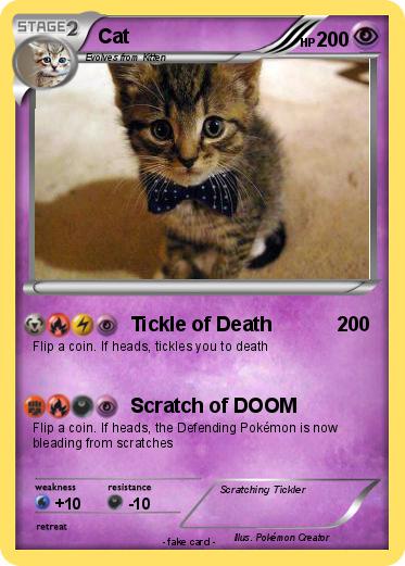 Pokemon Cat