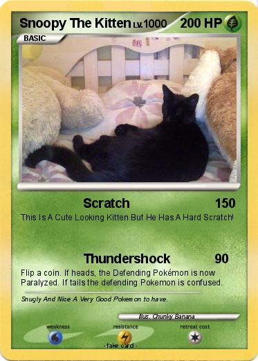 Pokemon Snoopy The Kitten