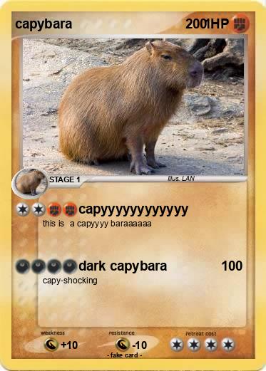 Pokemon capybara                                    1