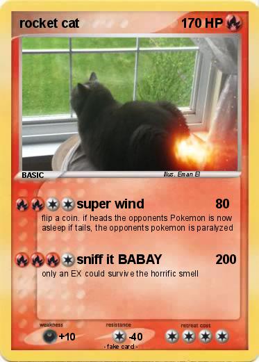 Pokemon rocket cat