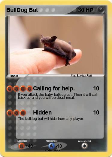Pokemon BullDog Bat