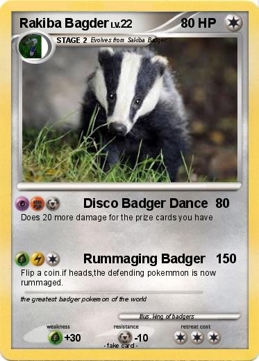 Pokemon Rakiba Bagder