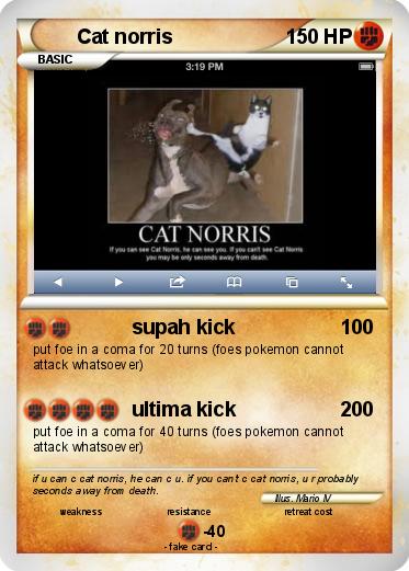Pokemon Cat norris