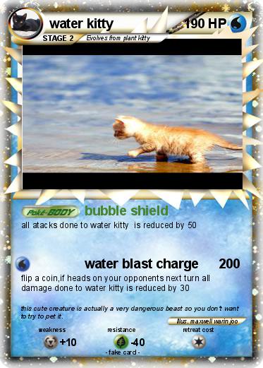 Pokemon water kitty