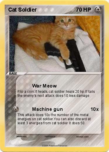 Pokemon Cat Soldier