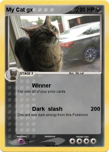 Pokemon My Cat gx