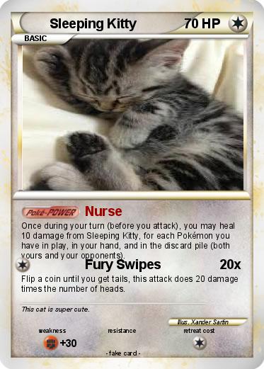 Pokemon Sleeping Kitty
