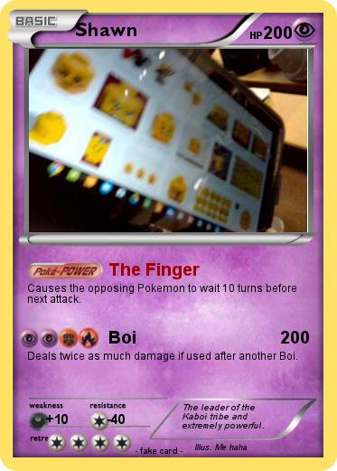 Pokemon Shawn