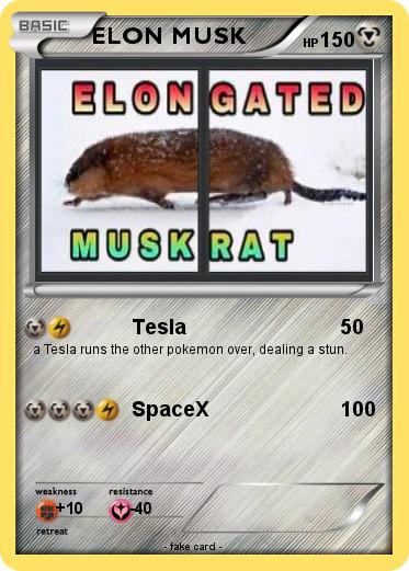 Pokemon ELON MUSK