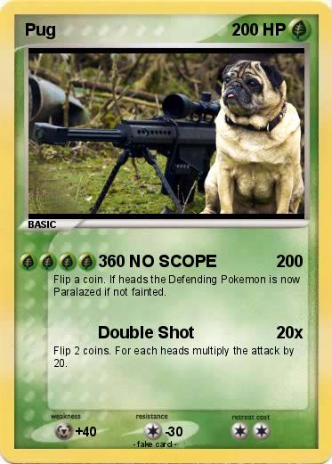 Pokemon Pug