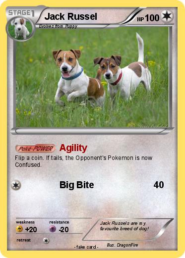 Pokemon Jack Russel
