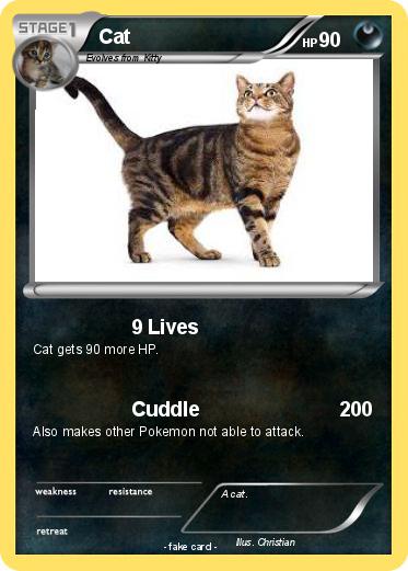 Pokemon Cat