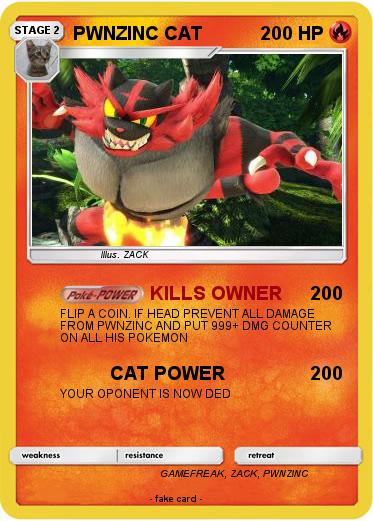 Pokemon PWNZINC CAT