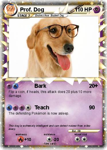Pokemon Prof. Dog