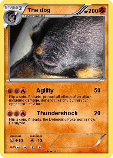 Pokemon The dog