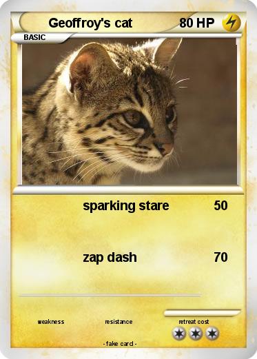 Pokemon Geoffroy's cat