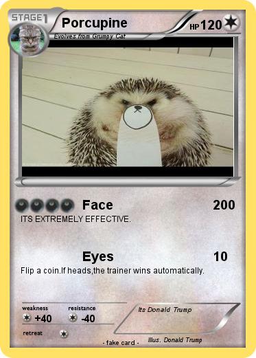 Pokemon Porcupine