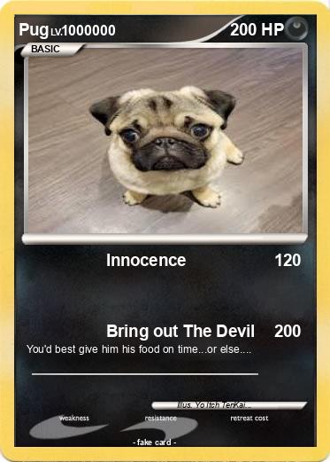 Pokemon Pug