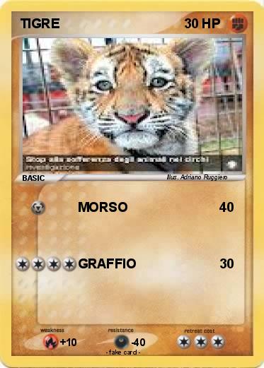 Pokemon TIGRE