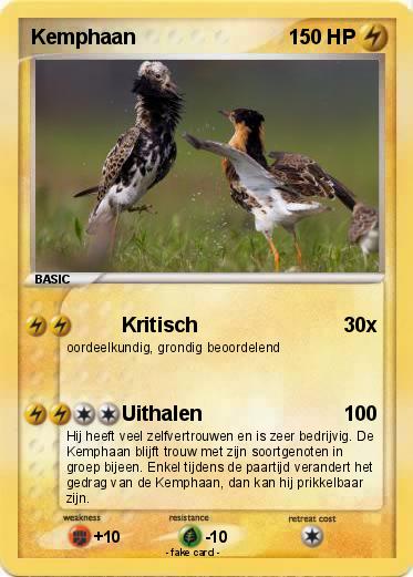 Pokemon Kemphaan